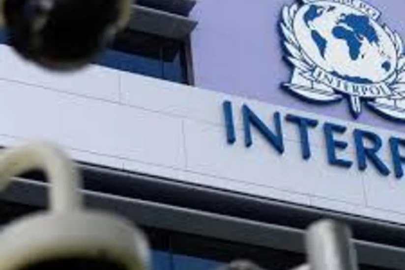 Интерпол предупредил о финансовом мошенничестве вокруг коронавируса