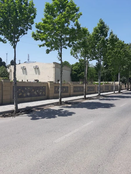 Azərbaycanda daha bir bələdiyyə sədri cəzalandırıldı