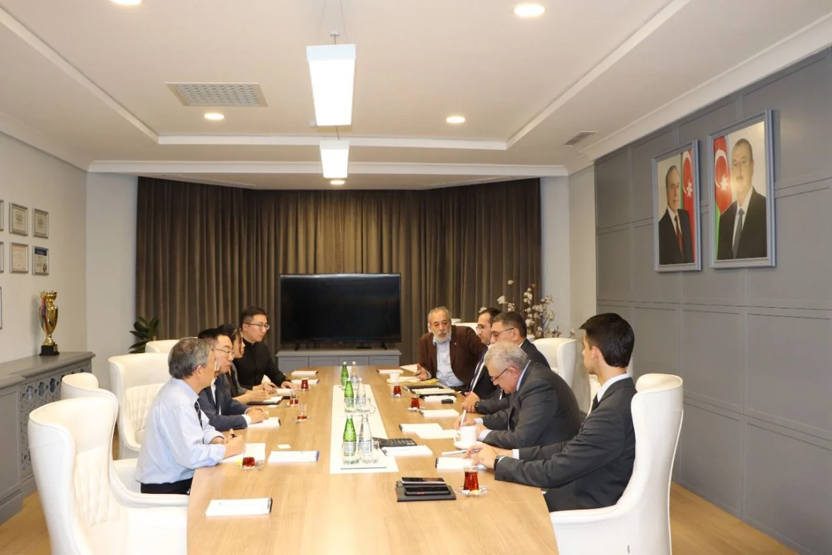 Azerbaijan, China to cooperate on production of anode blocks