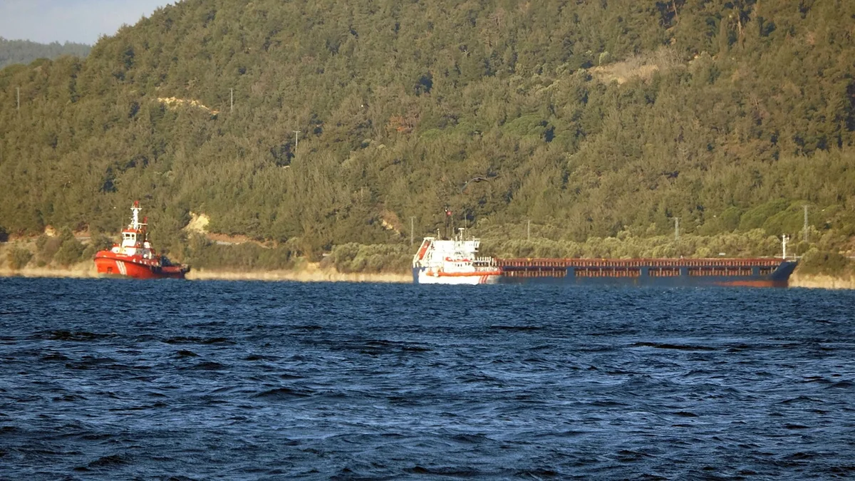 Turkish ships stranded in Azov Sea return home