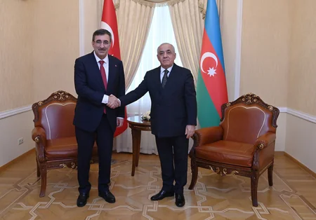 Azerbaijani PM meets Turkish vice president