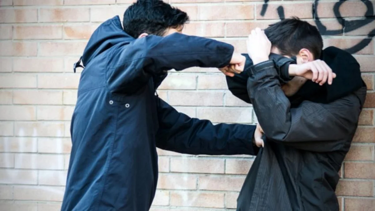 Массовая драка в Абшероне, есть пострадавший