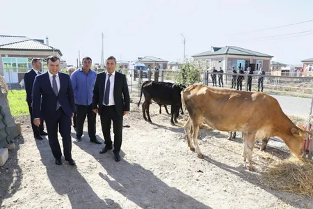Cocuq Mərcanlıda özünüməşğulluq proqramına cəlb edilən şəxslərlə görüş keçirilib