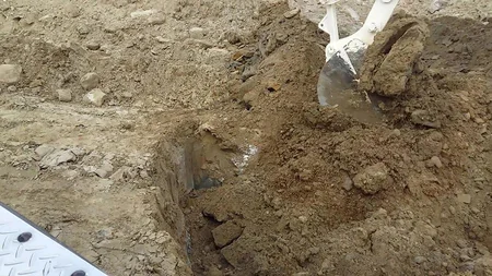 Bakıya satış məqsədi ilə gətirilən yararsız heyvan cəmdəkləri zərərsizləşdirilib