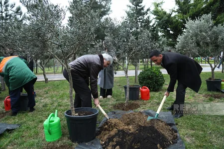 International conference participants in Baku plant trees in Zira Ecopark