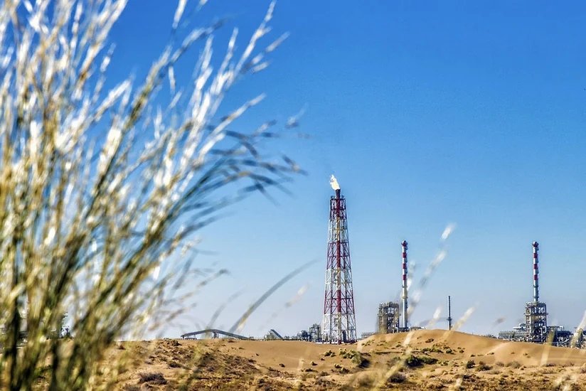 Китайская компания получит земельный участок в Восточном Туркменистане