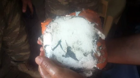 Black box of crashed MiG-29 found