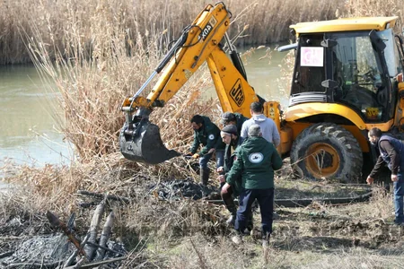 Salyanda qanunsuz balıq ovlayanlara qarşı reyd keçirilib - YENİLƏNİB