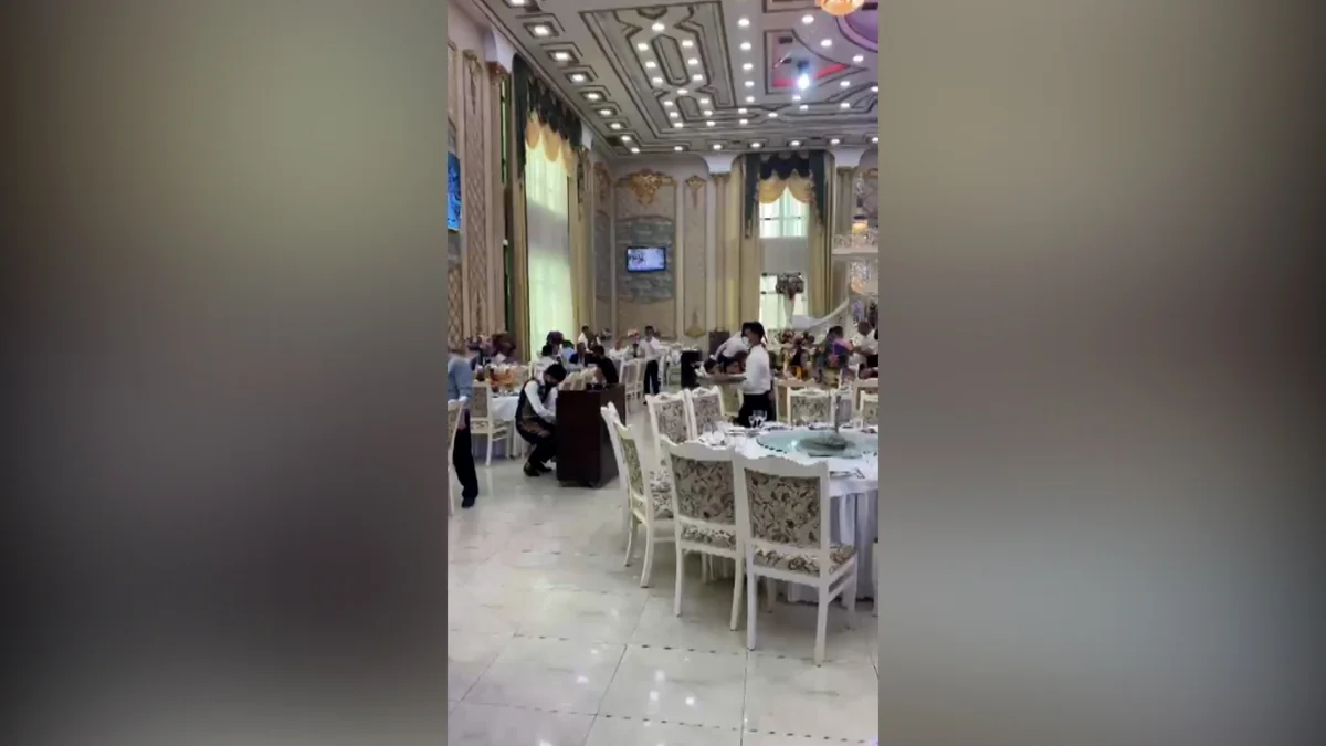 Bakıda 12 şadlıq sarayı ilə bağlı cinayət işi açılıb, saxlanılanlar var - SIYAHI - VİDEO