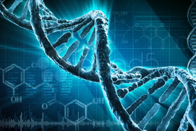 В Грузии создается база ДНК граждан