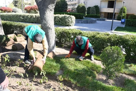 Bakıda növbəti ümumşəhər iməciliyi keçirilib