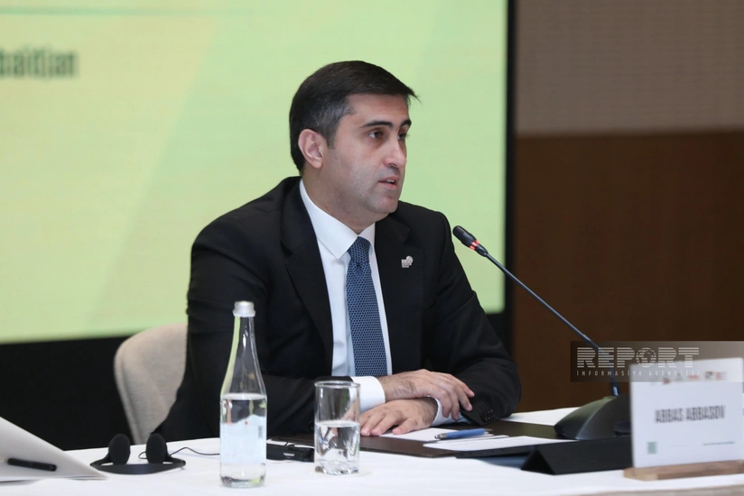 Аббас Аббасов: Независимость Гваделупы должна быть достигнута в рамках международного права