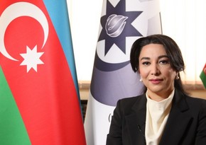 Sabina Aliyeva: Armenia does not provide any information about missing persons