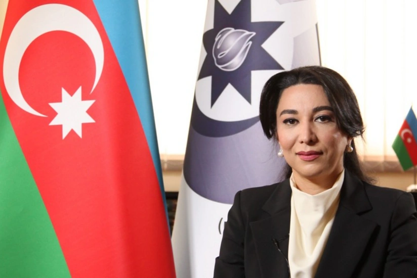 Sabina Aliyeva: Armenia does not provide any information about missing persons