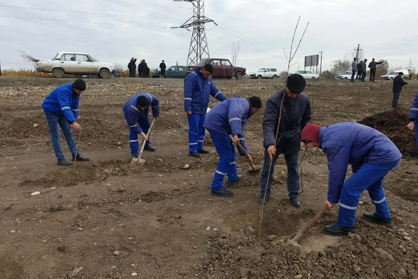 “Azəriqaz” kollektivi 5 min ağac tingi, dekorativ kol və güllər əkib