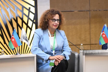 International Baku Forum of Ombudsmen mull climate change and human rights