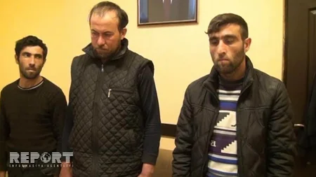 Salyanda kürəkən qayınatasına məxsus mal-qaranı oğurlayıb