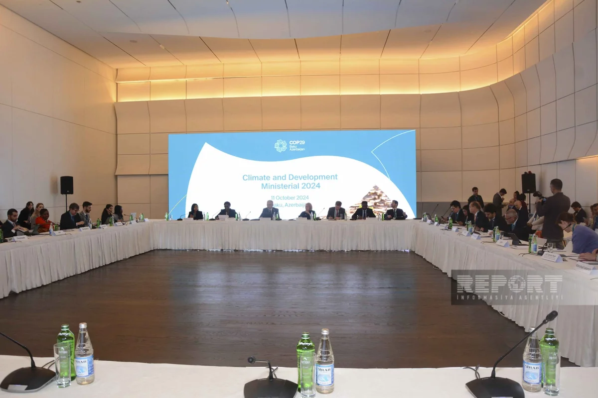 COP29 to serve as effective platform for addressing climate risks, WB official says