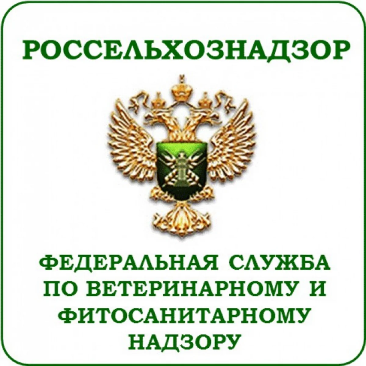 Россия готовится экспортировать в Азербайджан мясо, молоко и мед