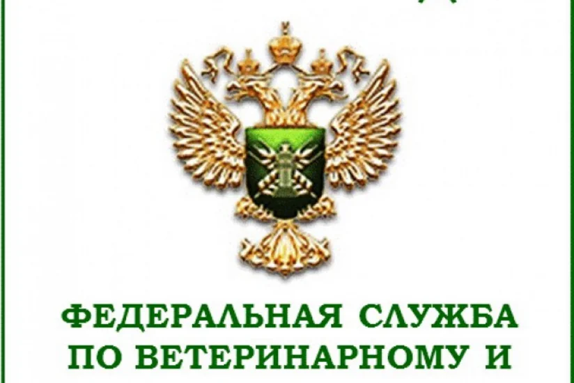 Россия готовится экспортировать в Азербайджан мясо, молоко и мед