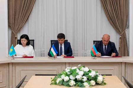 Azerbaijan, Kazakhstan, Uzbekistan found joint venture for green energy corridor project