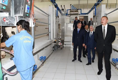 Prezident İlham Əliyev Cəlilabadda “Günəşli-Aqro” MMC-nin aqroparkında yaradılan şəraitlə tanış olub
