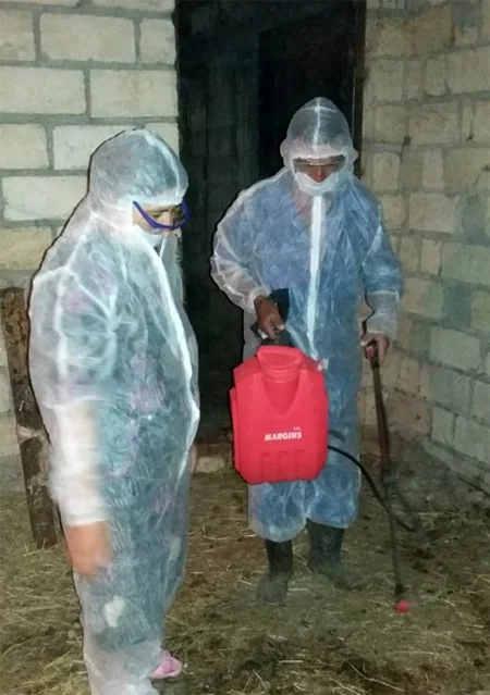 Yevlax rayonunda dezinfeksiya tədbirləri aparılır