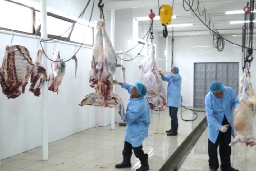 Qanuni heyvan kəsimi məntəqələrinin mövcud olmadığı rayonlar açıqlanıb - SİYAHI