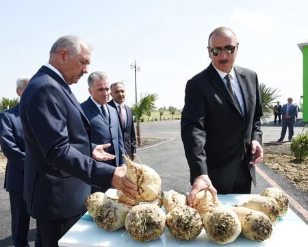 Prezident İlham Əliyev Cəlilabadda “Günəşli-Aqro” MMC-nin aqroparkında yaradılan şəraitlə tanış olub