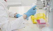 В Таиланде сообщили о первом случае гибели от сибирской язвы