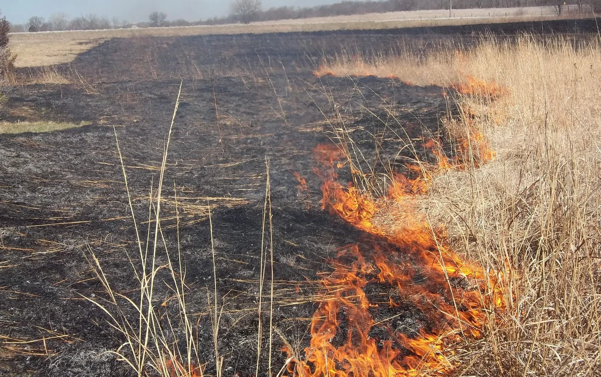 Cəlilabadda qəzalı işıq dirəyi aşaraq yanğına səbəb olub