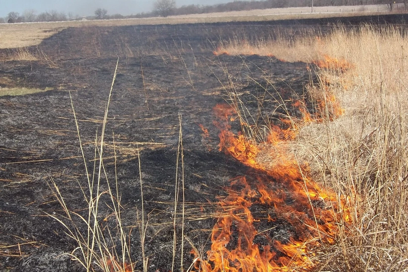 Cəlilabadda qəzalı işıq dirəyi aşaraq yanğına səbəb olub