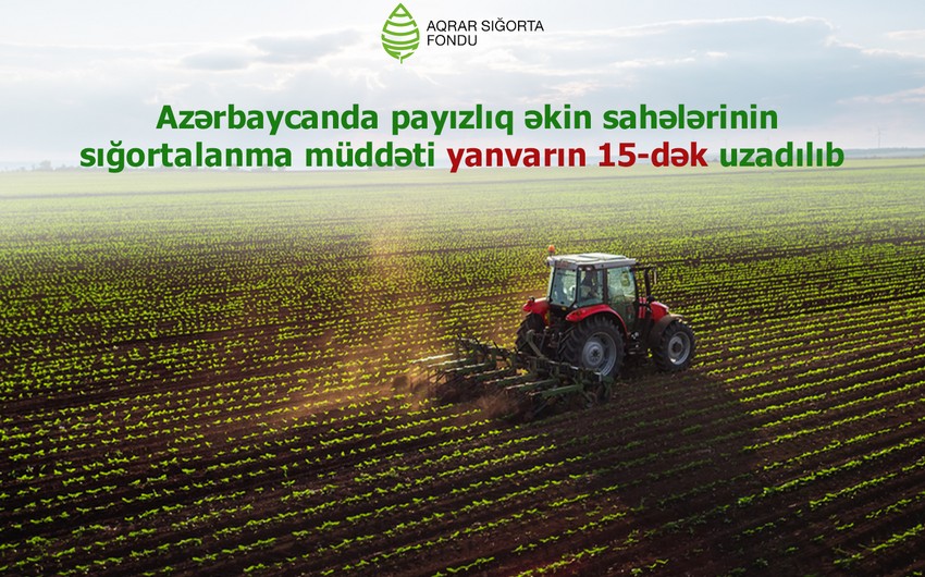 Azərbaycanda payızlıq əkin sahələrinin sığortalanması müddəti uzadılıb