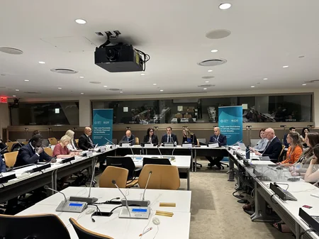 COP29 Presidency organizes UN Roundtable on Climate, Peace and Human Mobility