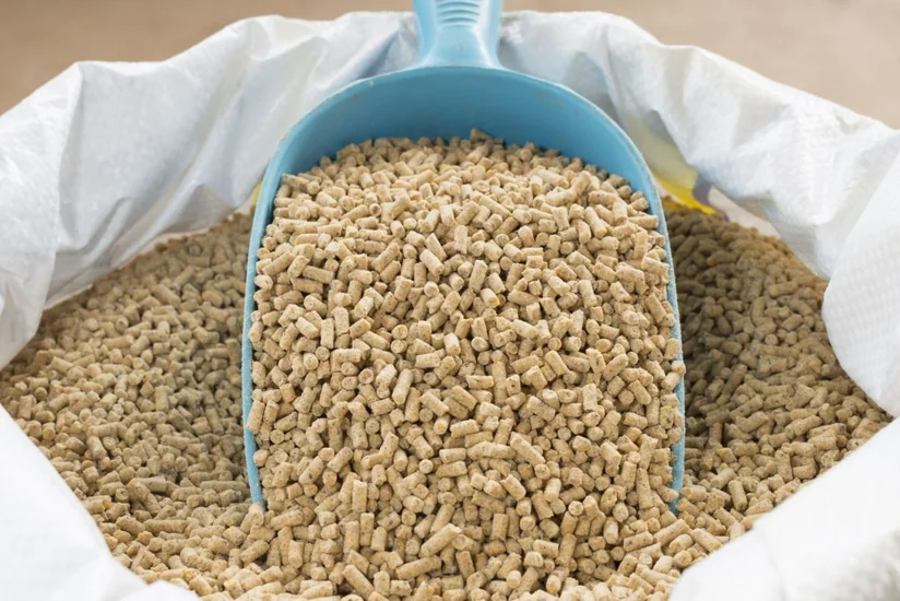 Azərbaycan Livana heyvan yemi ixracını bərpa edib