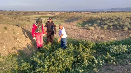 Tovuzda 7 ədəd top mərmisi tapıldı