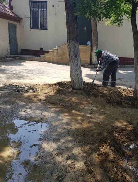 ETSN Yasamalda dibinə maddə tökülən ağacları himayəyə götürüb