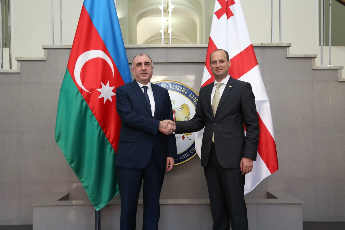 Azerbaijani FM departed to Georgia - UPDATED