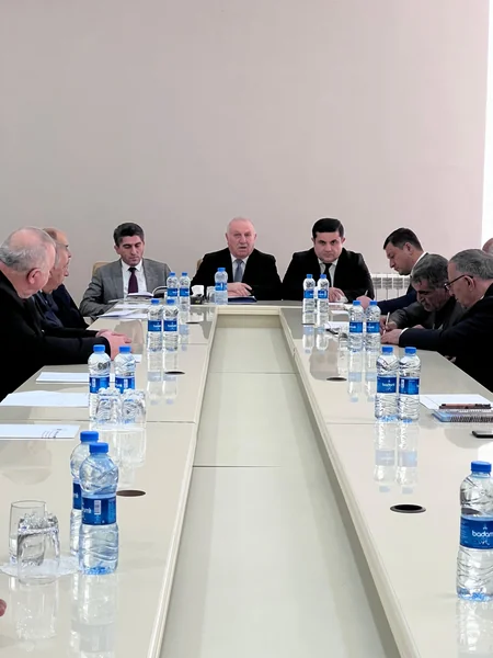 Ombudsman Aparatı və MSK Masallıda seçki hüquqları ilə bağlı tədbir keçirib