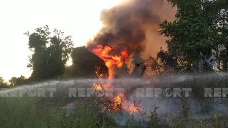 В Огузе возник пожар на посевных участках