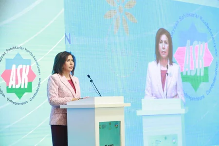 Bakıda Ulu Öndər Heydər Əliyevin 100 illik yubileyinə həsr olunmuş konfrans keçirilib