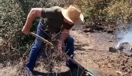 Cəlilabad və Beyləqanda meşə ərazilərində yanğın olub