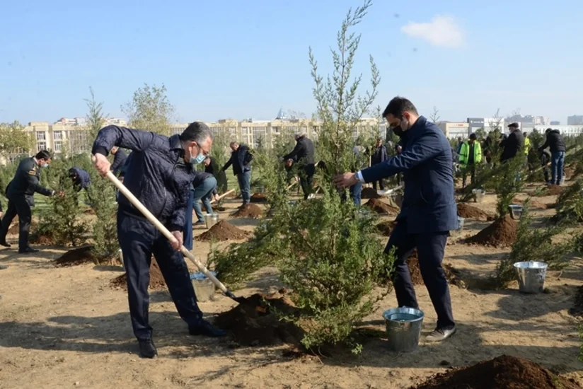 Bakıda Zəfər Günü münasibətilə ağacəkmə aksiyası keçirilib