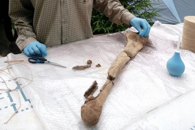 Bakıda insana məxsus olması ehtimal edilən sümük fraqmentləri aşkarlanıb