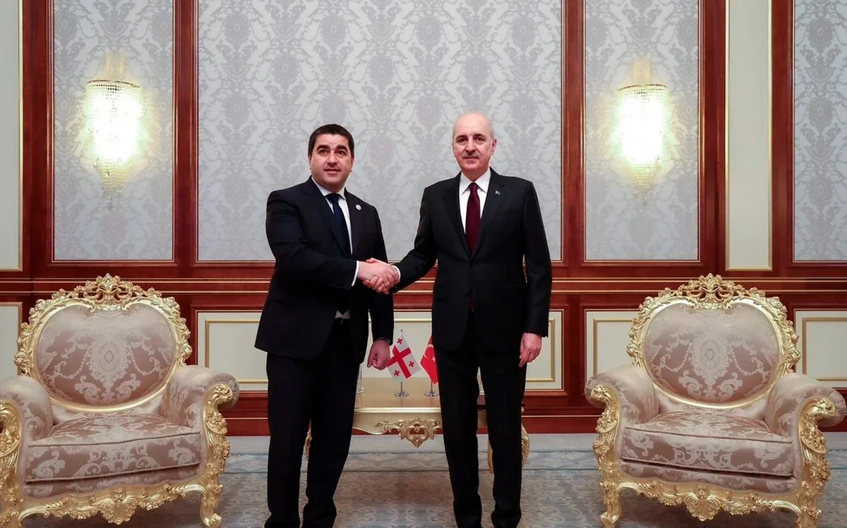 Mechanism to be created for Türkiye-Azerbaijan-Georgia inter-parliamentary cooperation