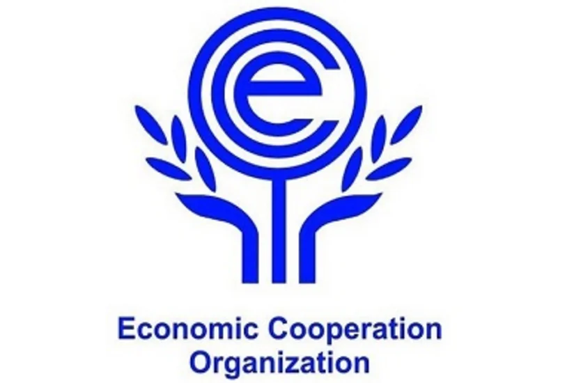 Замглавы МИД Туркменистана и генсек ОЭС обсудили вопросы взаимодействия