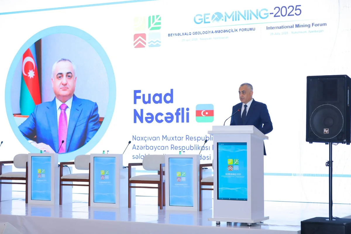 Fuad Nəcəfli: “Son iki ildə Naxçıvanda 6 yeni yataq kəşf edilib”