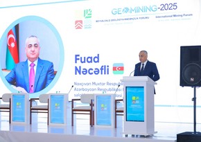Fuad Nəcəfli: “Son iki ildə Naxçıvanda 6 yeni yataq kəşf edilib”