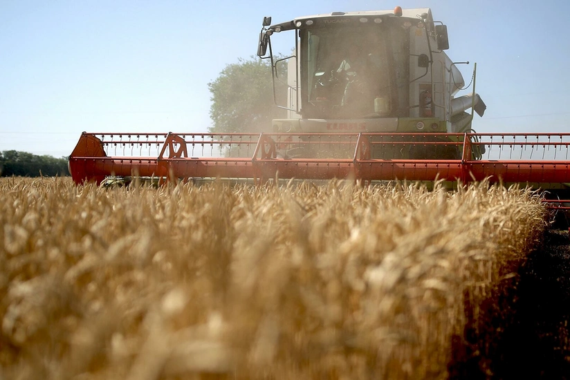 BMT eksperti: “Dünya anbarlarında cəmi 10 həftəlik buğda qalıb”