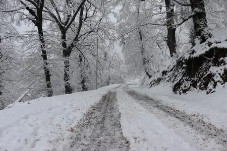 Azərbaycan parklarının qış görüntüləri - FOTOREPORTAJ
